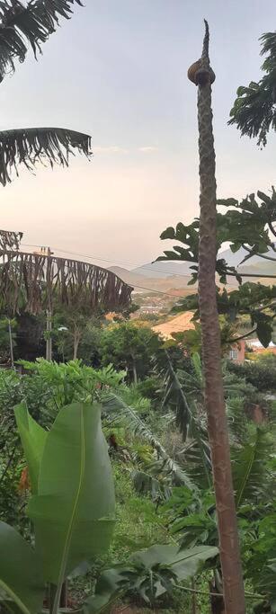 Kitnet Bela Vista Marica